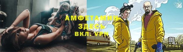 apvp Алзамай