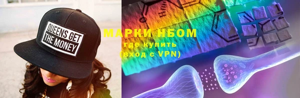 apvp Алзамай