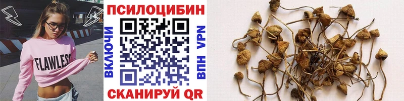 купить   Лабинск  Галлюциногенные грибы мухоморы 